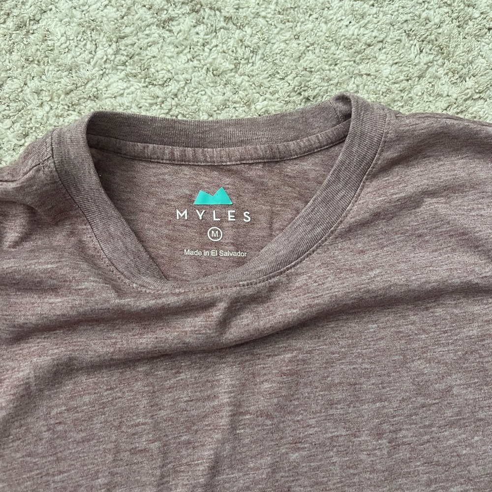 Men's Myles Apparel Everyday T-Shirt in Heather Crimson